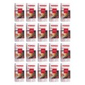 20x Kimbo Napoletano 250g mielona